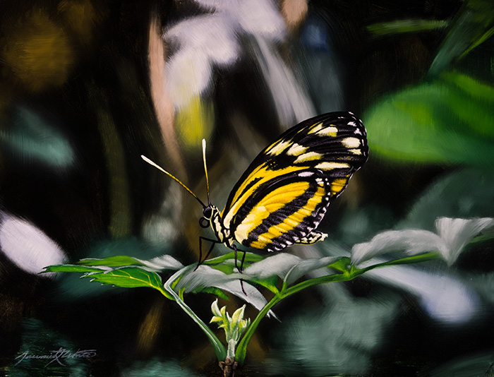 A painting of a yellow and black butterfly standing on a leaf at the Butterfly Pavilion.