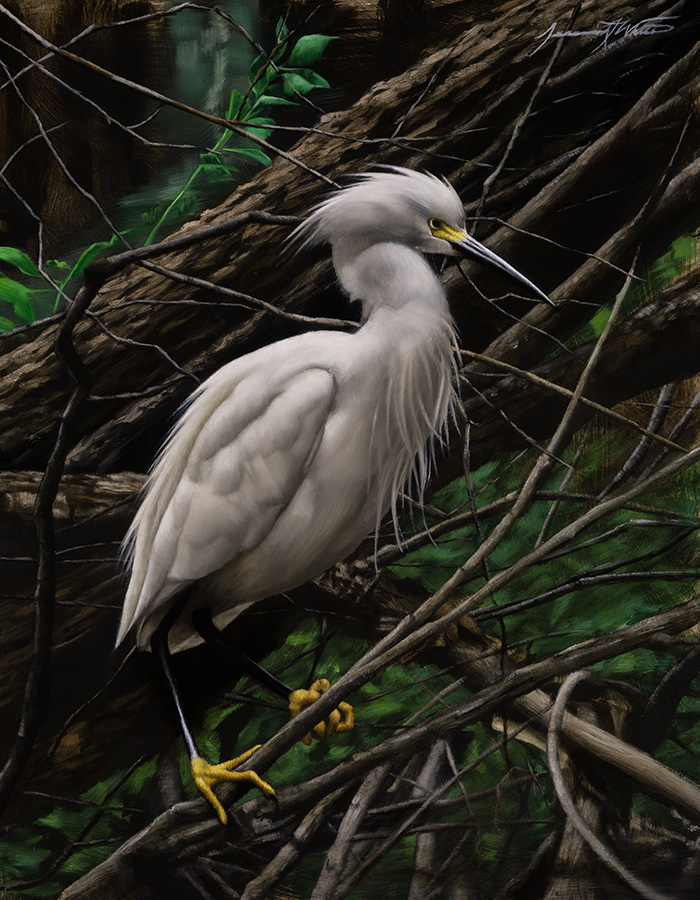 A painting of a snowy egret standing watch over his flock, perched on a fallen tree.