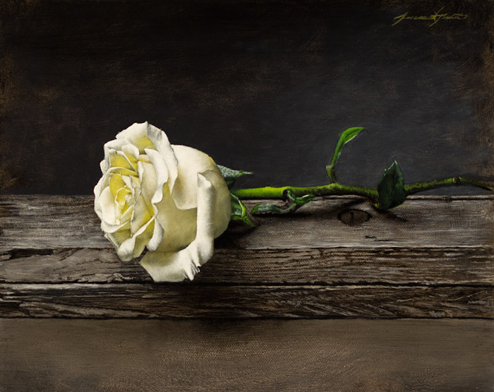 A painting of a single white rose in a still life style setting. The white rose rests upon two weathered pieces of wood against a dark grey background.